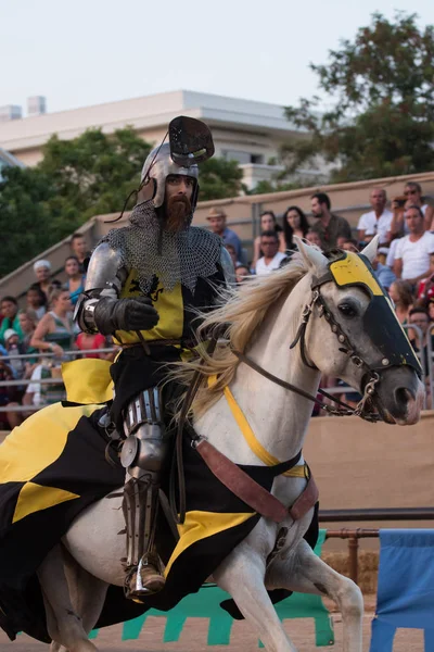 Mittelalterlicher Krieger mit Pferd — Stockfoto