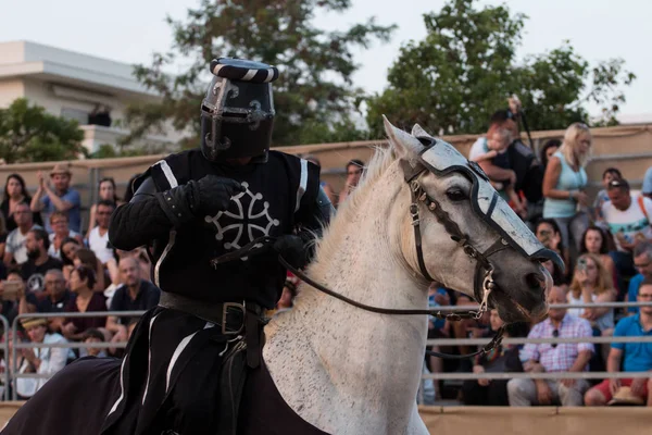 Guerreiro medieval com cavalo — Fotografia de Stock