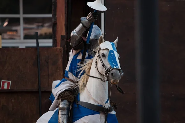 Medieval warrior with horse — Stock Photo, Image