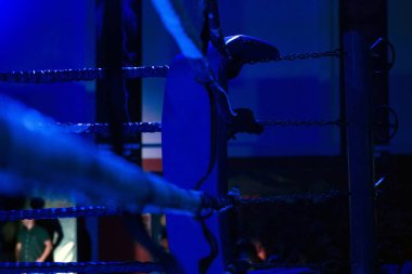 Kick boks halka detay