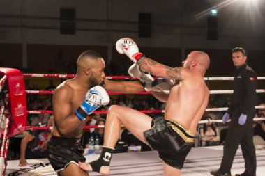 DFC kickboks Şampiyonası