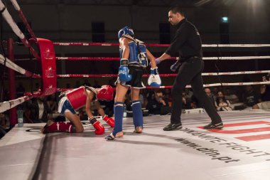 DFC kickboks Şampiyonası 
