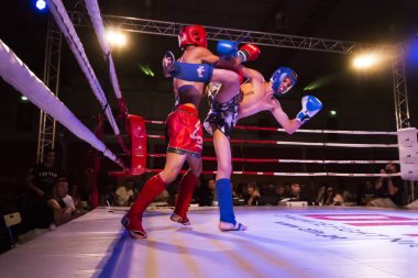 DFC kickboks Şampiyonası 