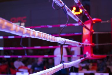 DFC kickboks Şampiyonası 