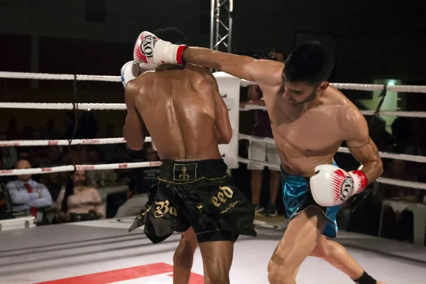 Campeonato DFC de kickboxing —  Fotos de Stock