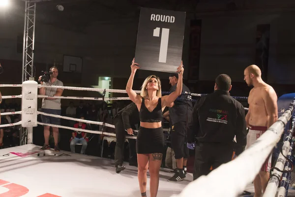 DFC kickboks Şampiyonası