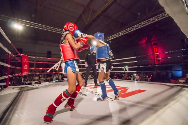 キック ボクシングの Dfc 選手権 — ストック写真