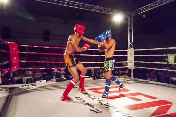 DFC mistrovství kickbox — Stock fotografie