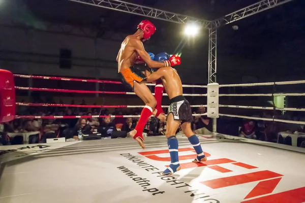Campeonato DFC de kickboxing — Foto de Stock