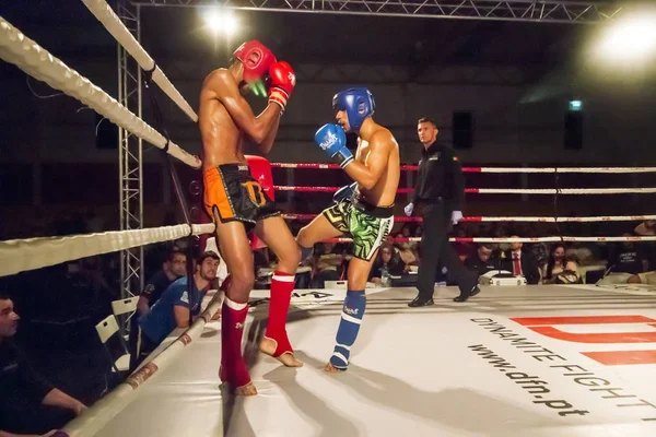 Championnat DFC de kickboxing — Photo