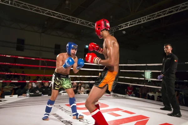 Campeonato DFC de kickboxing —  Fotos de Stock