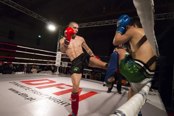 DFC mistrovství kickbox — Stock fotografie