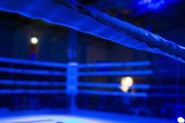 DFC kickboks Şampiyonası 