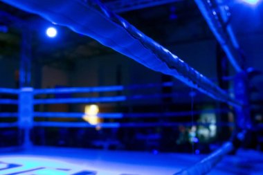 DFC kickboks Şampiyonası 