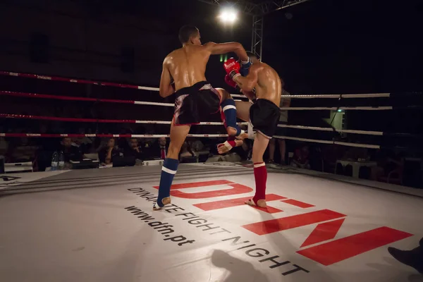 DFC mistrovství kickbox — Stock fotografie