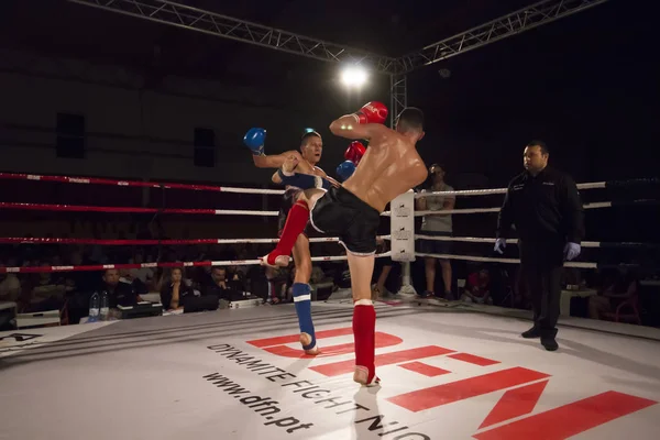 DFC mistrovství kickbox — Stock fotografie