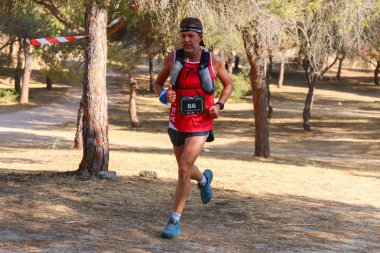 Bir orman iz Runner