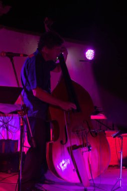 Müzik grubu, Carlos Bica