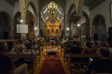 Orquesta Classica do Sul