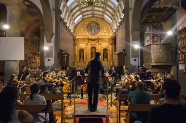 Orquesta Classica do Sul