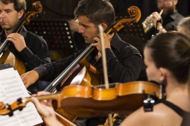 Orquesta Classica do Sul