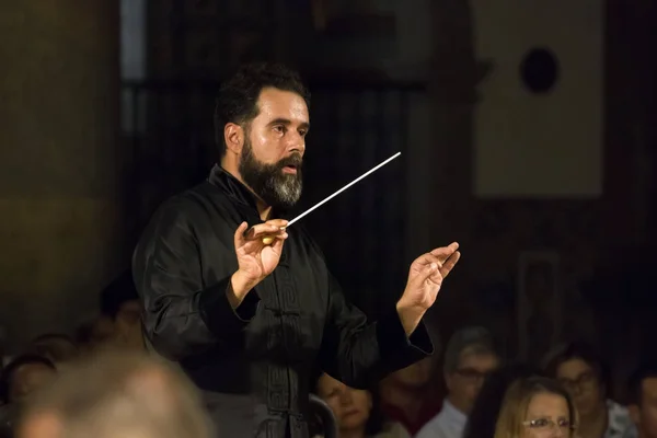 Orquesta Clásica do Sul —  Fotos de Stock