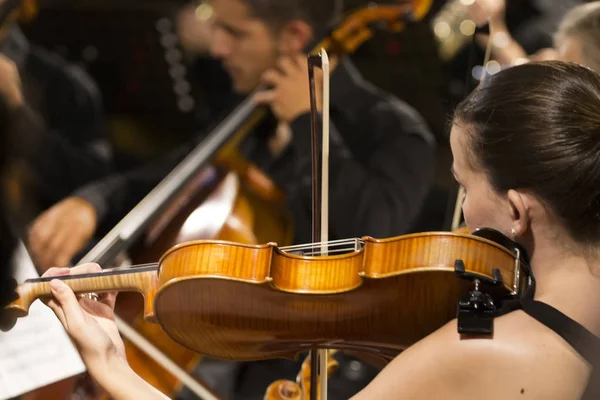 Orquesta Classica do Sul — Zdjęcie stockowe