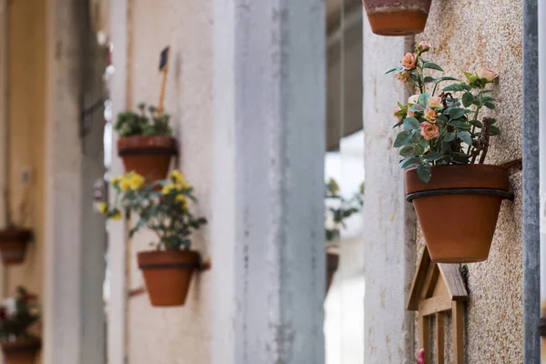 Vasi di fiori decorativi sulla strada — Foto Stock