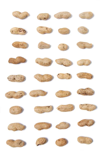 Cacahuètes étalées sur un fond blanc — Photo