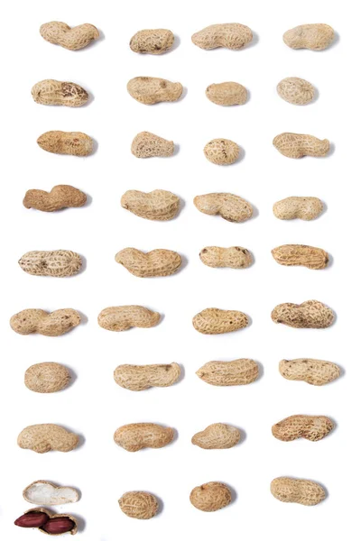 白い背景にともないピーナッツ — ストック写真