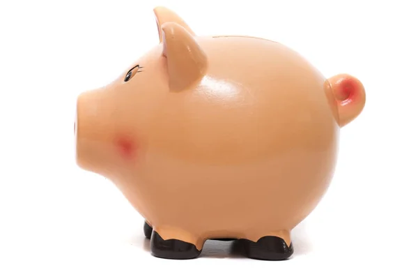 Schattig piggy bank — Stockfoto