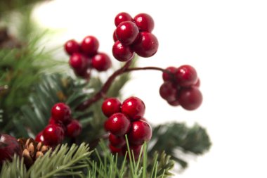 Tipik Noel dekoratif çelenk