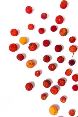 Çilek ağacı (kocayemiş Unedo) meyve