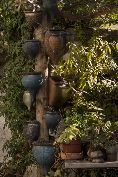 不思議な植木鉢 — ストック写真