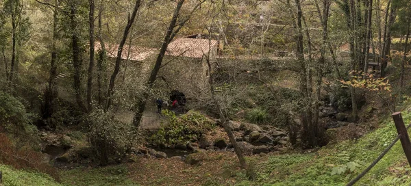 Zona de parque en la región de Monchique — Foto de Stock