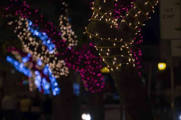 Alberi di Natale avvolti con luci — Foto Stock