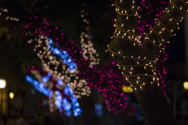 Alberi di Natale avvolti con luci — Foto Stock