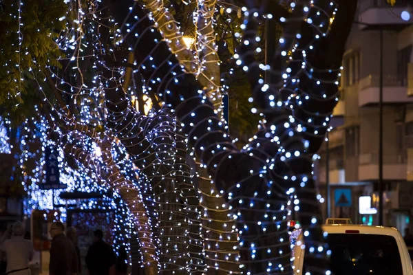 Alberi di Natale avvolti con luci — Foto Stock