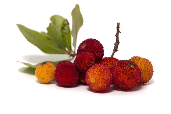 Клубничное дерево (Arbutus Unedo) фрукты — стоковое фото