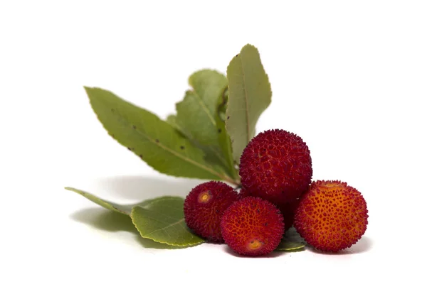 Strawberry Tree (Chróścina) owoców — Zdjęcie stockowe