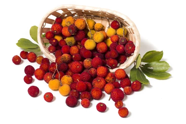 Erdbeerbaum (arbutus unedo) Frucht — Stockfoto