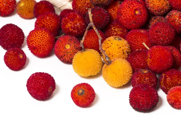 Strawberry Tree (Chróścina) owoców — Zdjęcie stockowe
