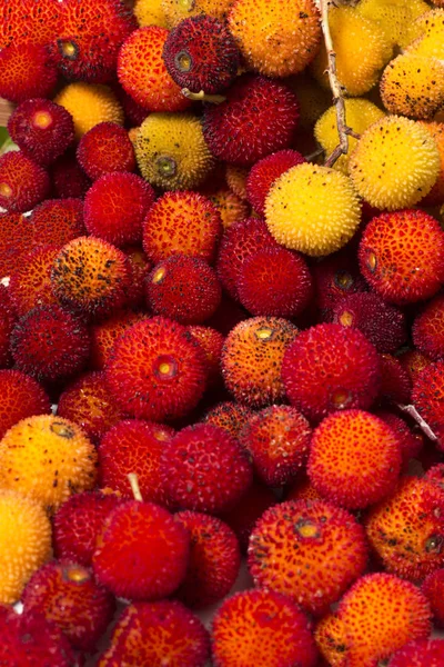 Jahodový strom (Arbutus Planikový) ovoce — Stock fotografie