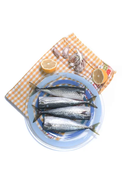 Rå makrill fisk — Stockfoto