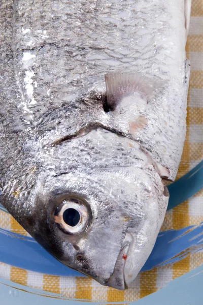 Gilt-head bream fish — Stock Photo, Image