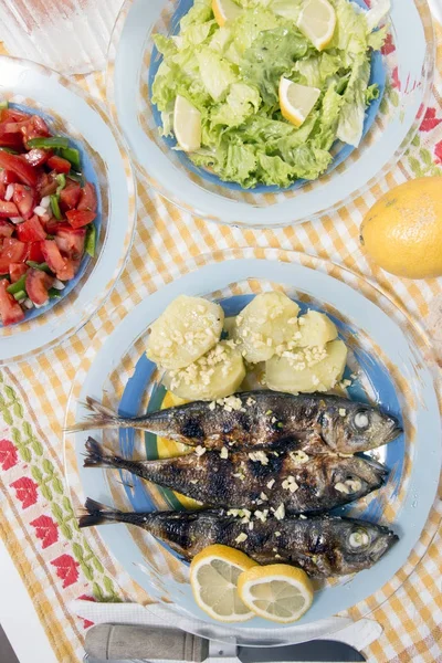 Atlantic horse mackerel meal — Stock Photo, Image