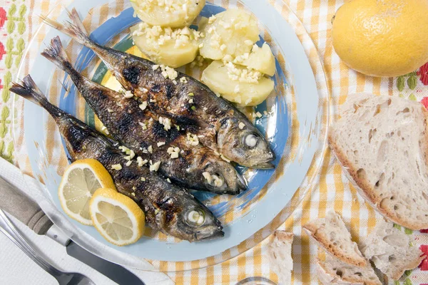 Atlantic horse mackerel meal — Stock Photo, Image