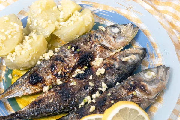 Atlantic horse mackerel meal — Stock Photo, Image