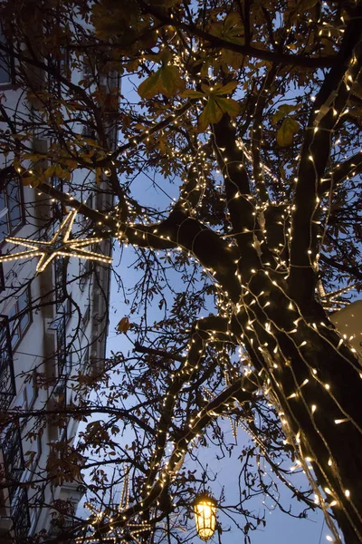 Christmas insvept träd med ljus — Stockfoto