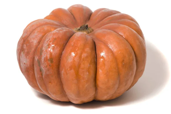 Big orange pumpkin — Stock Photo, Image